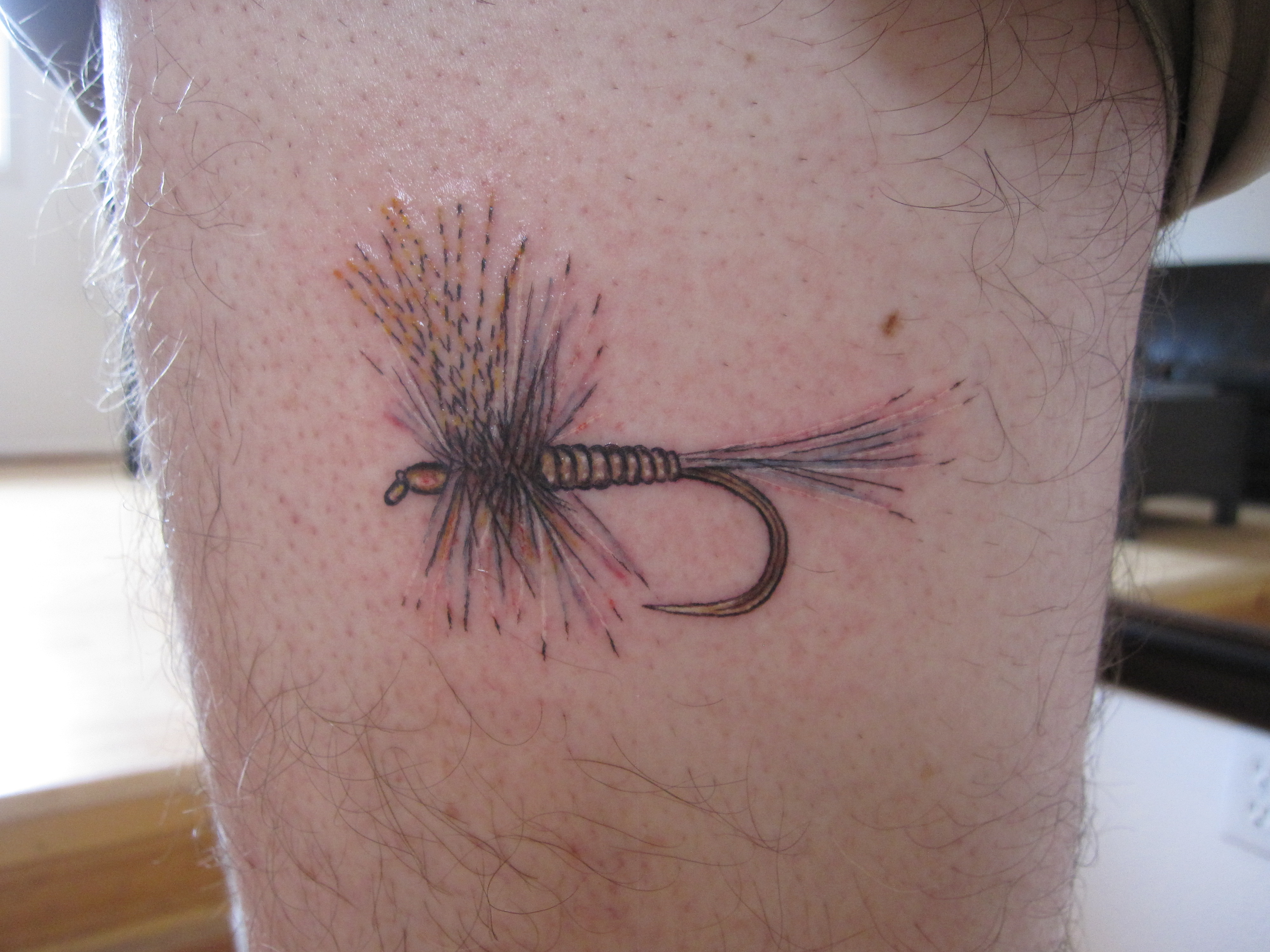 Tattoos | Suite C Tattoo | Tattoos By Kim Kress 3000_x_4000_jpg
