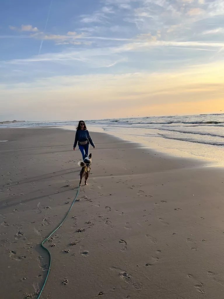 Frau und Hund im Sonnenuntergang am Meer