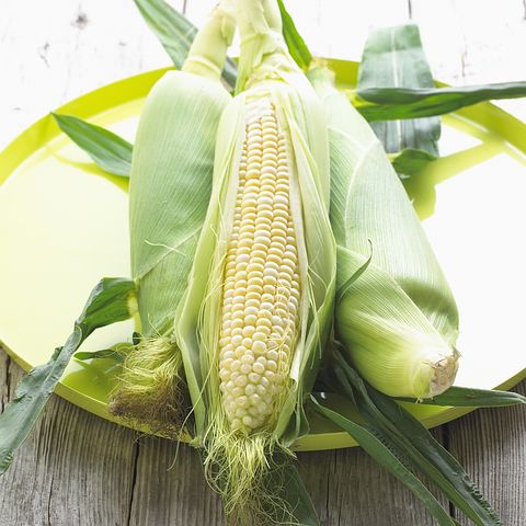corn-2
