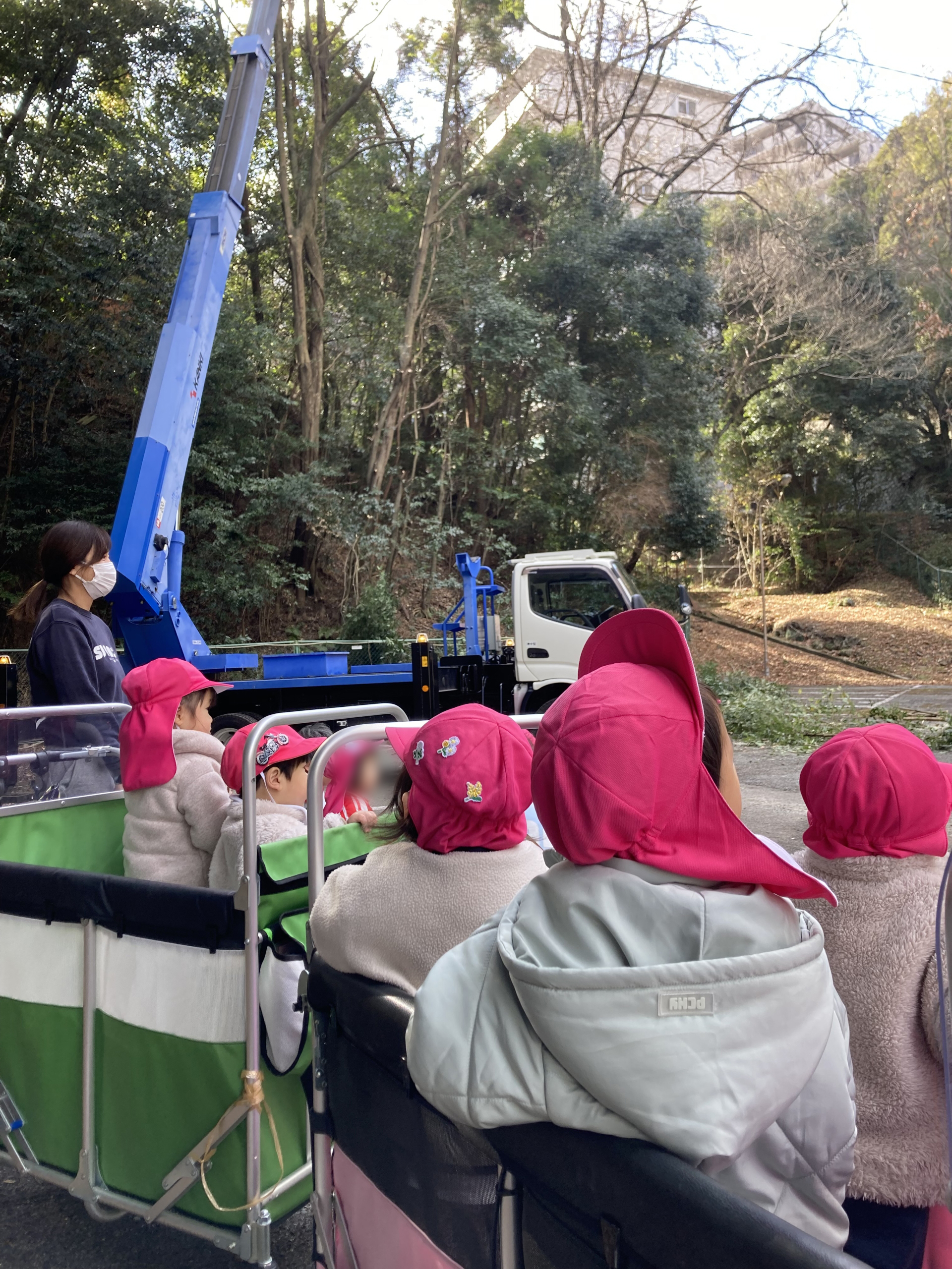 伐採の見学もできる保育園