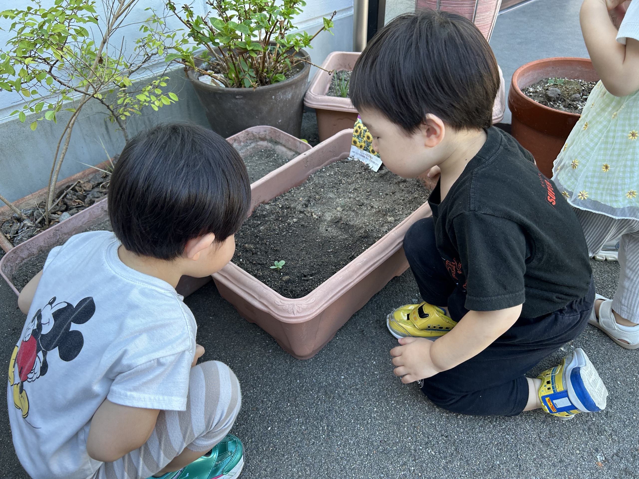 まだまだ暑いね