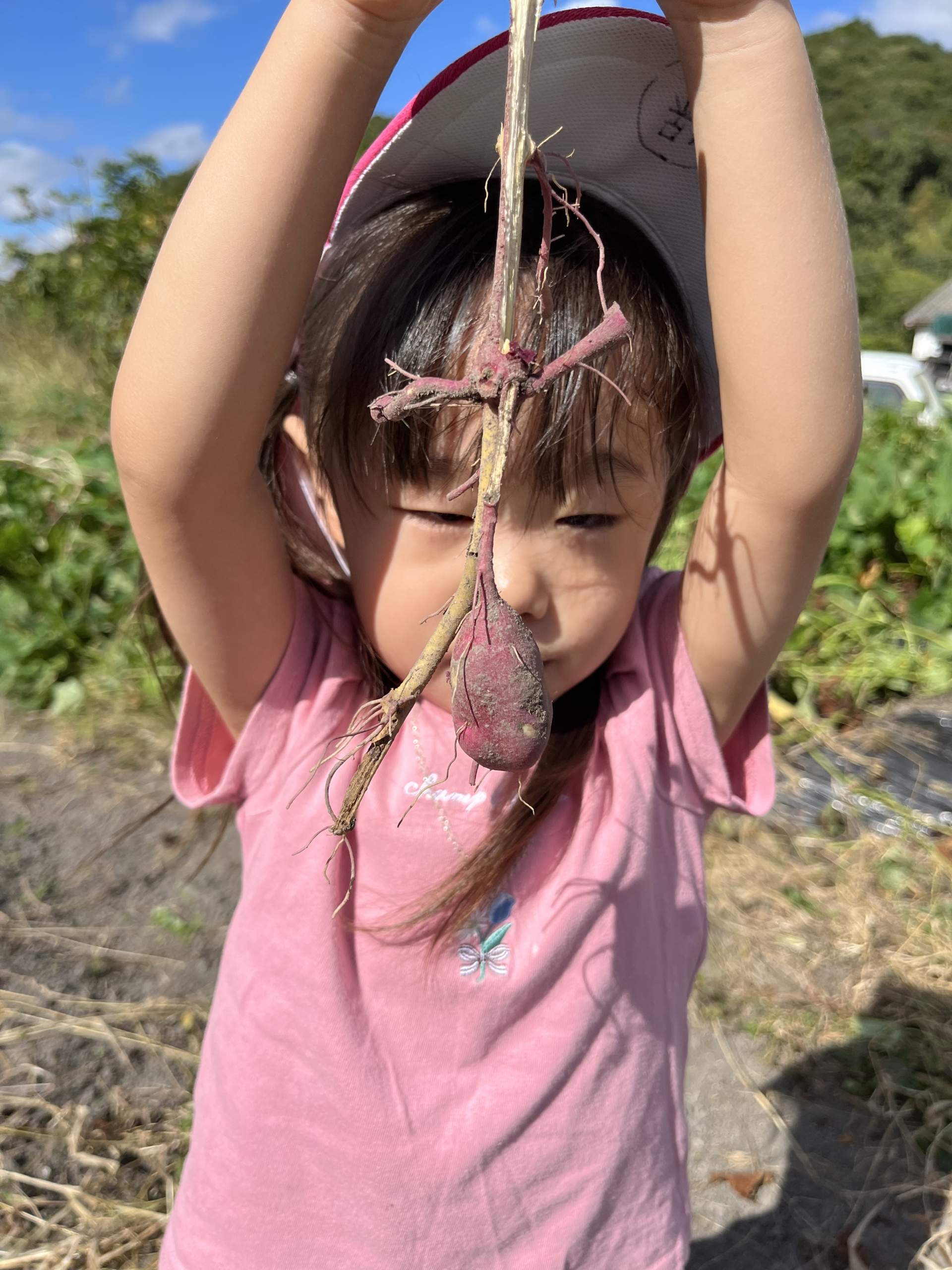 お芋掘り🍠