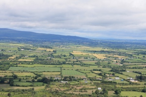 20120813-102932.jpg