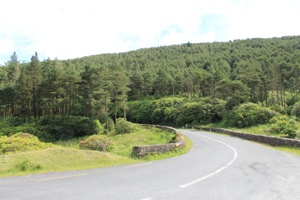 20120813-102949.jpg