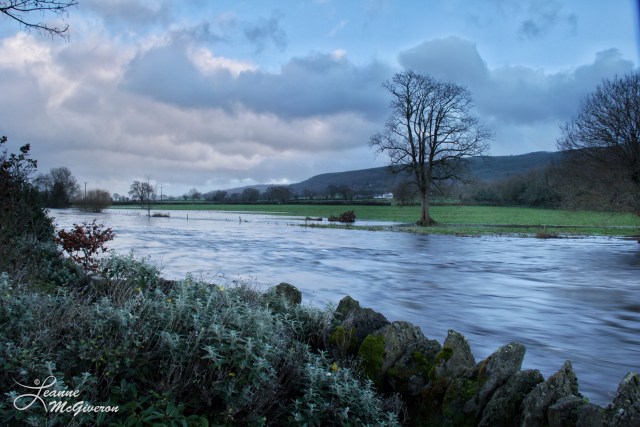 December Blues, River Suir, County Tipperary