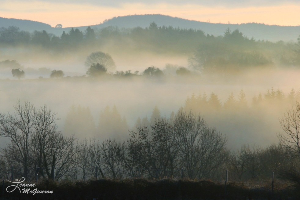 Morning Mist, Rathdrum, County Wicklow