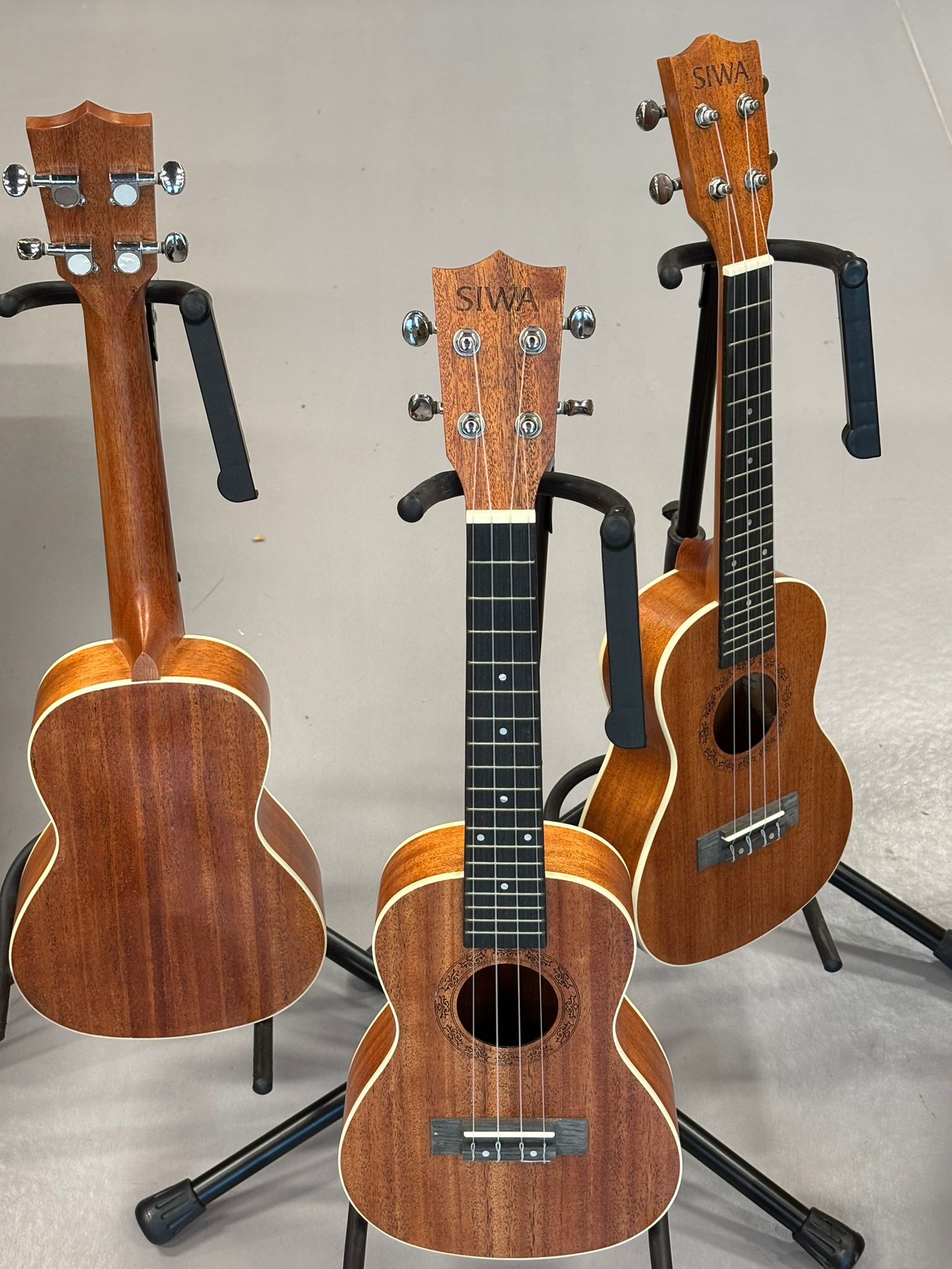 SİWA CONCERT UKULELE