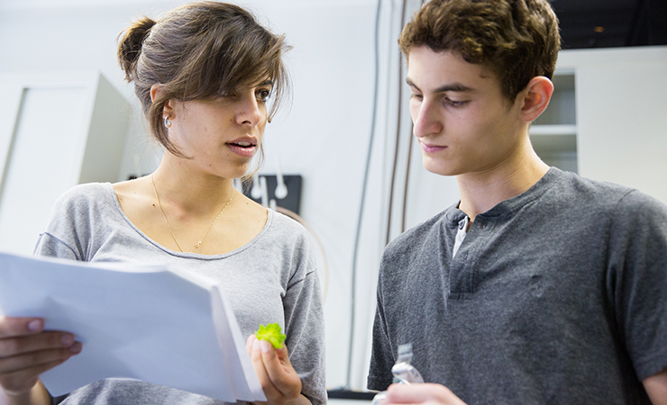 Summer Research Programmes Summer Research Programmes - Best City Images in Mobile