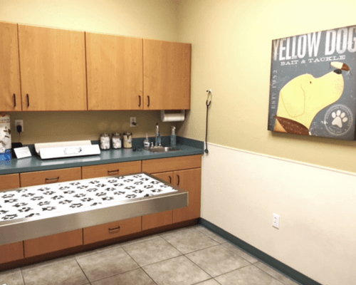 About summerlin animal hospital