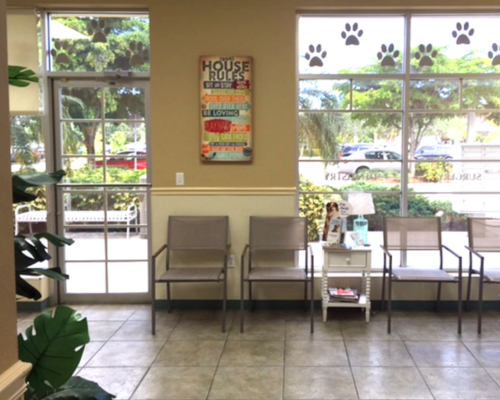 About summerlin animal hospital
