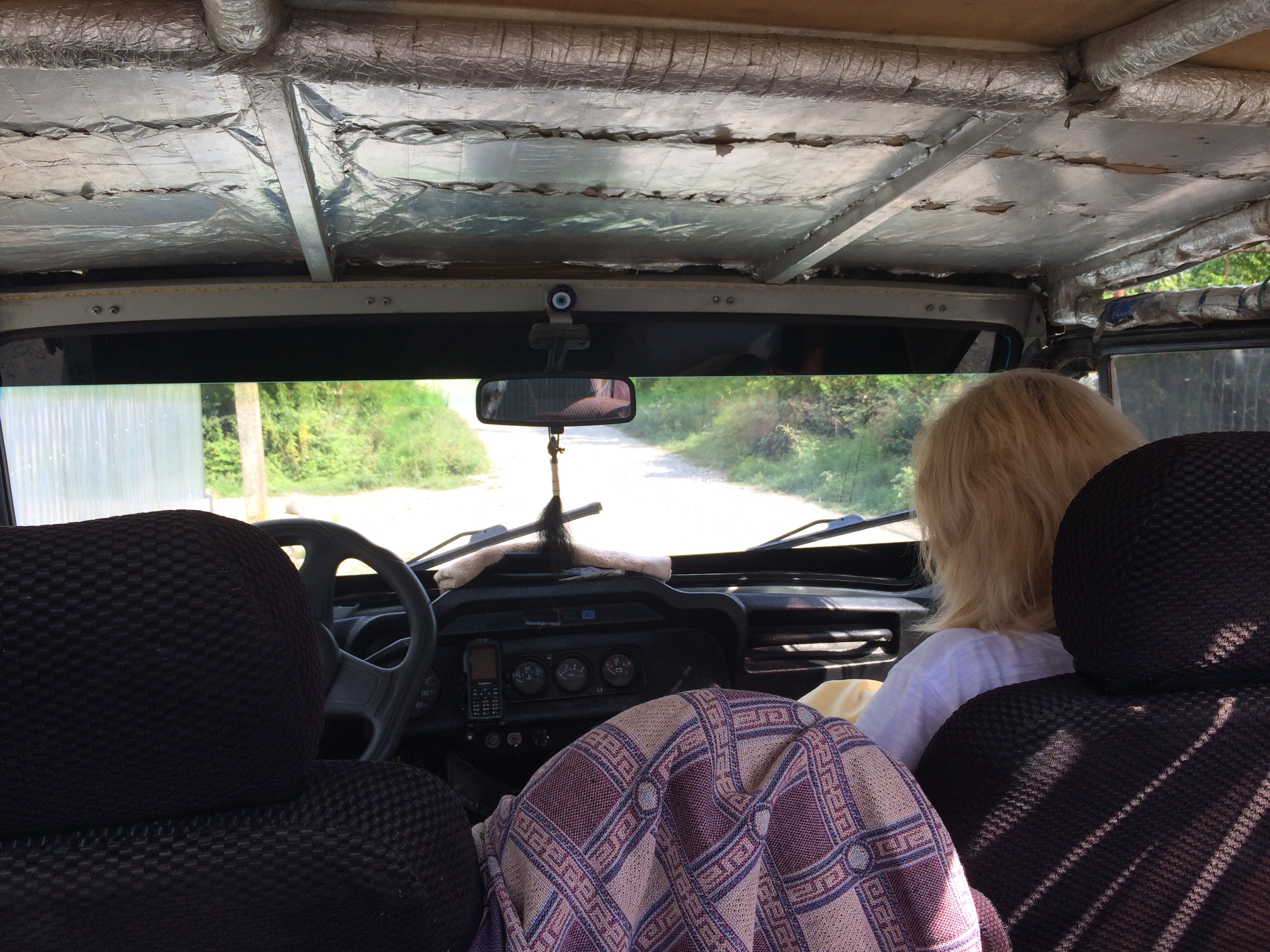 Альпийские луга в абхазии ⭐ как добраться на машине самостоятельно, высота над уровнем моря. Abhaziya Ekskursii Rica Gegskij Vodopad Alpijskie Luga 22 08 2016 Dreams Come True