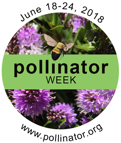 Pollinator Week Email Pollinator Week