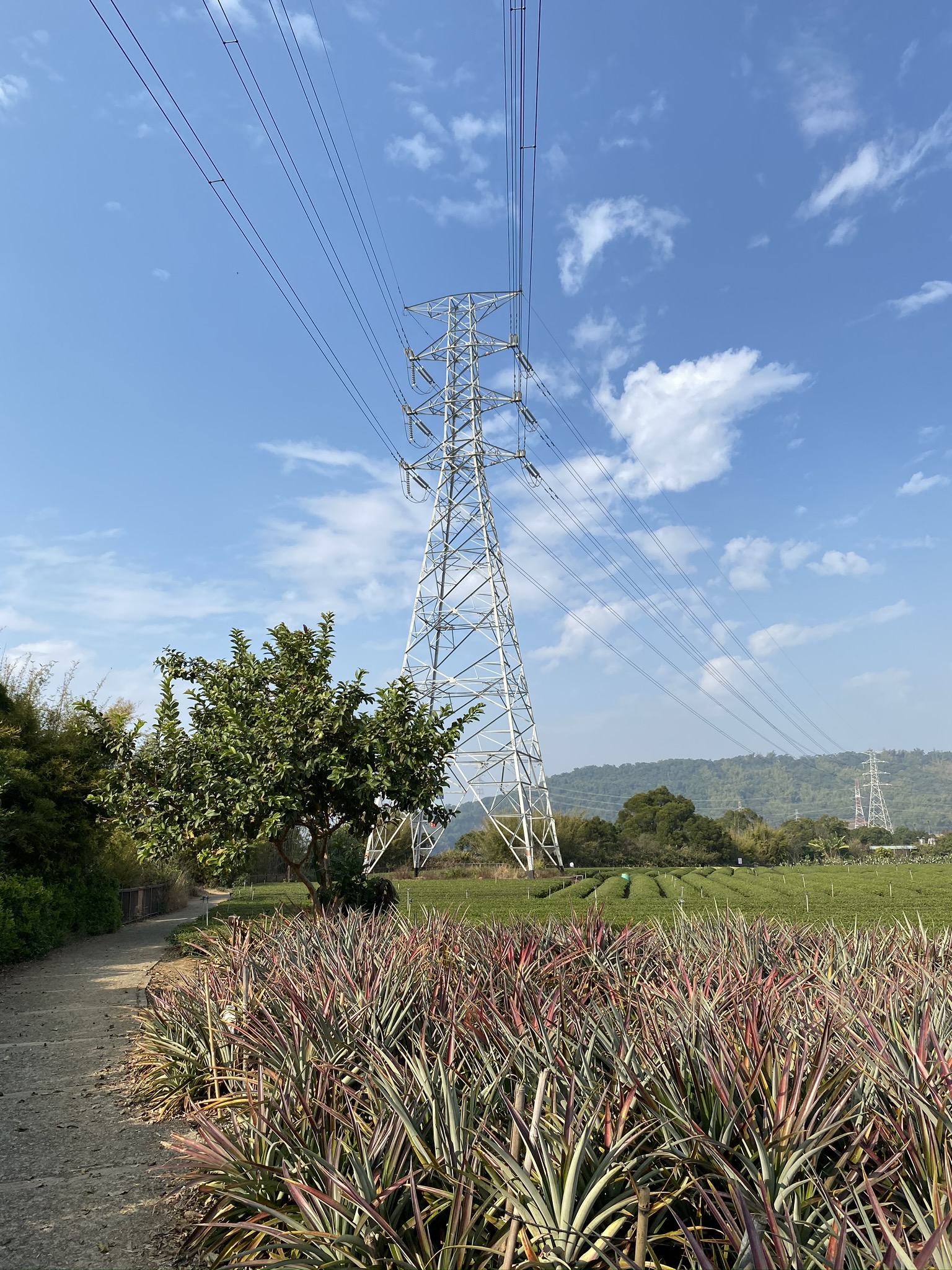 清水岩步道頂端