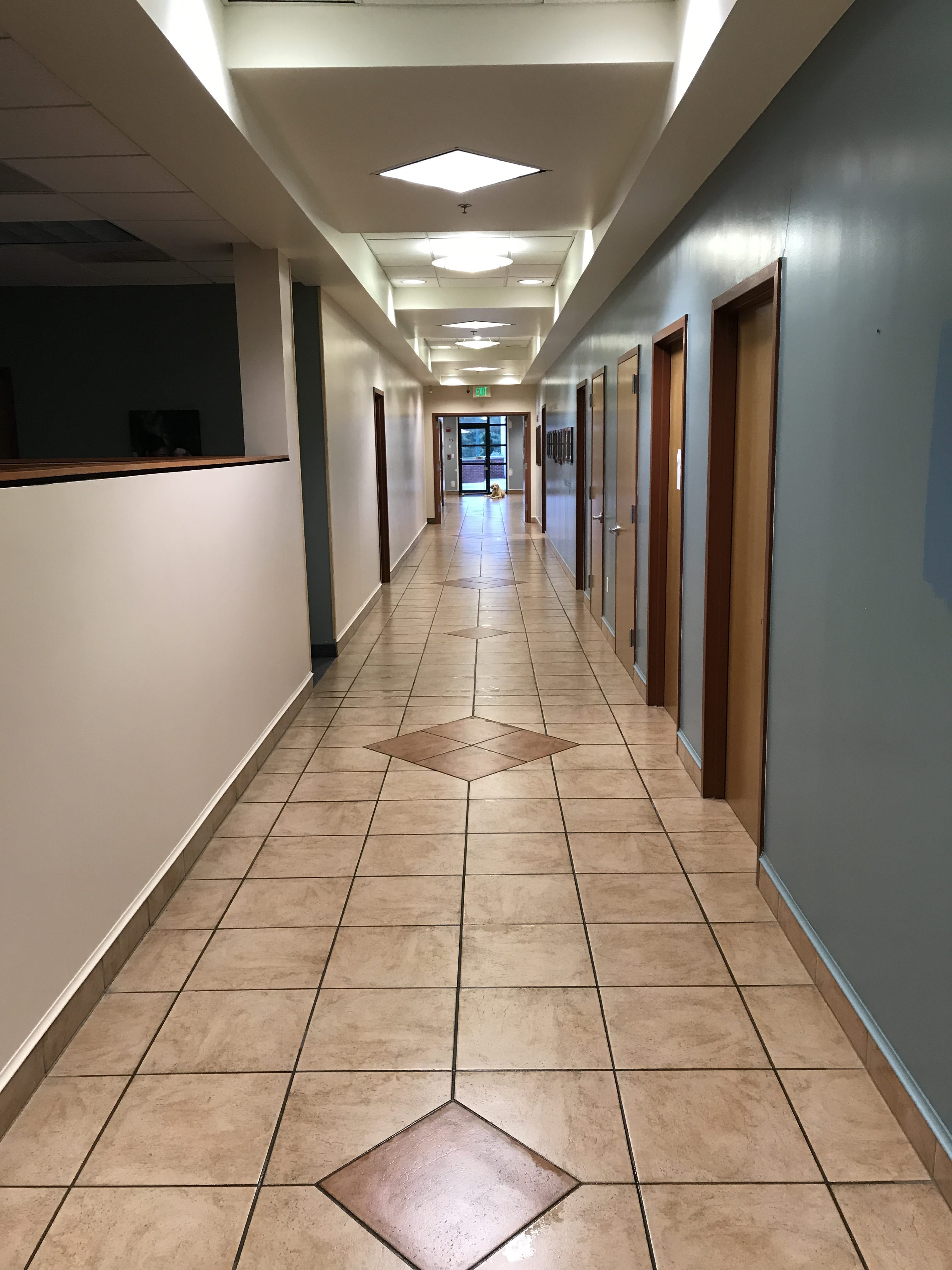 Floor Scrubbing