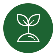Tree-Planting-Symbol.webp