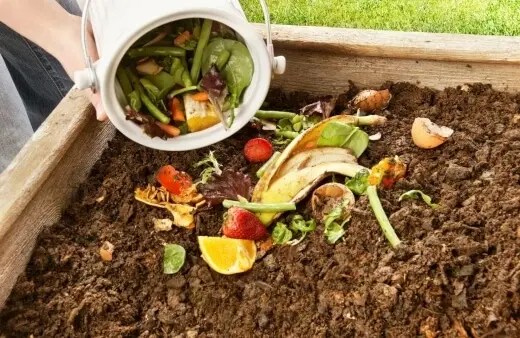 How Does Compost Work