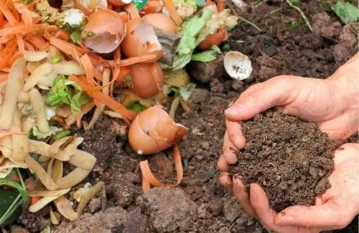 How to Make Compost