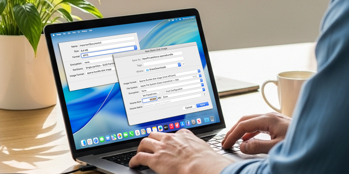 Sparse Bundle Image (UDSB)