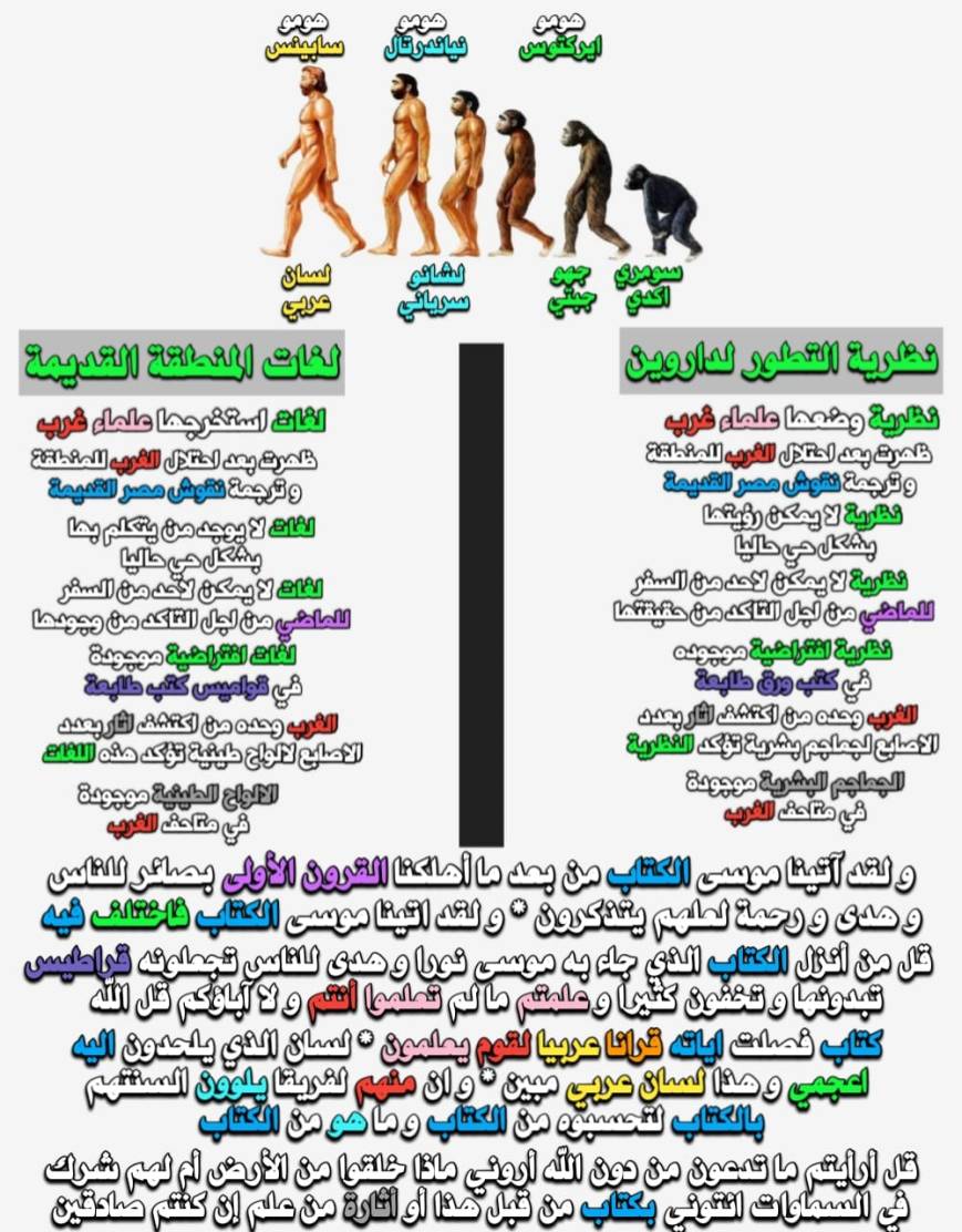 ما هو أساس نظرية داروين؟