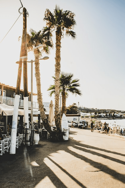 Trending Topics in Coastal Living