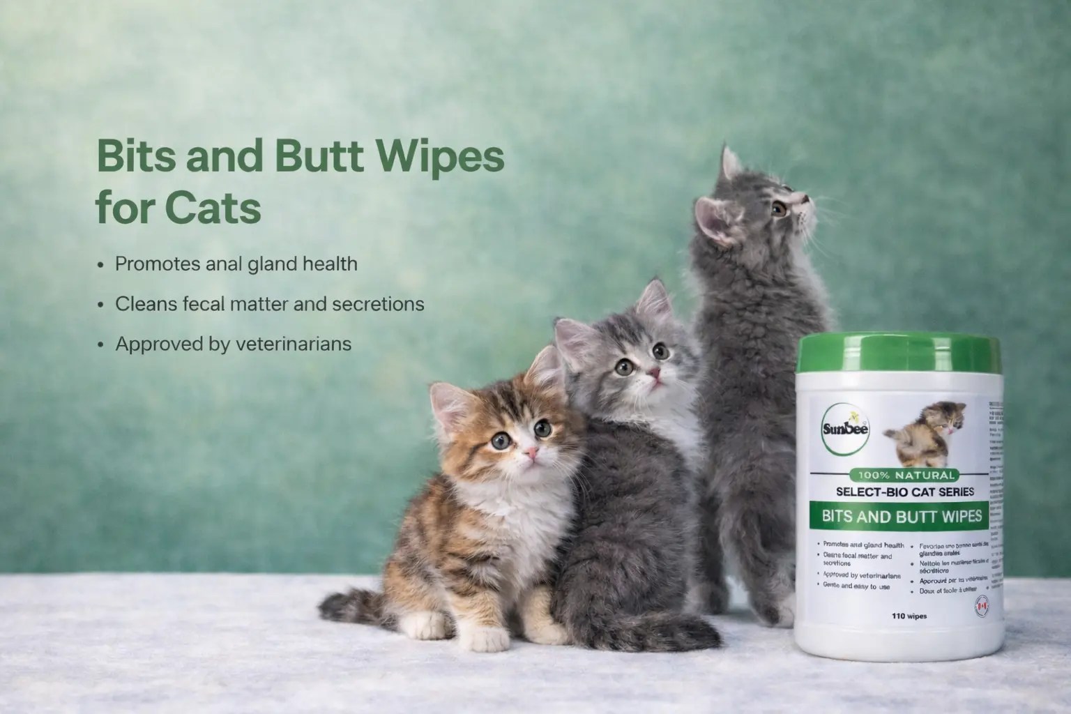 Pet Cat Bits and Butt wipes
