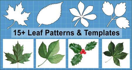 Leaf Pattern Template 10 Free Pdf Printables Printablee - Stunning Retina City Wallpapers | Free Download