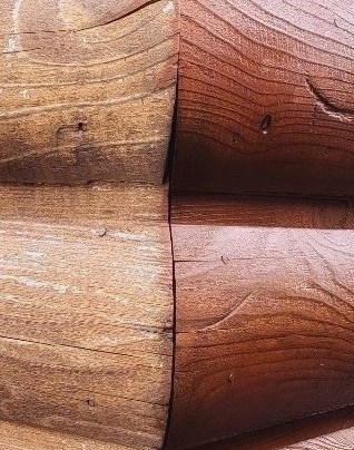 SECRETARIAT RESERVE No. 520L - LOG*1 COAT - SAMPLE