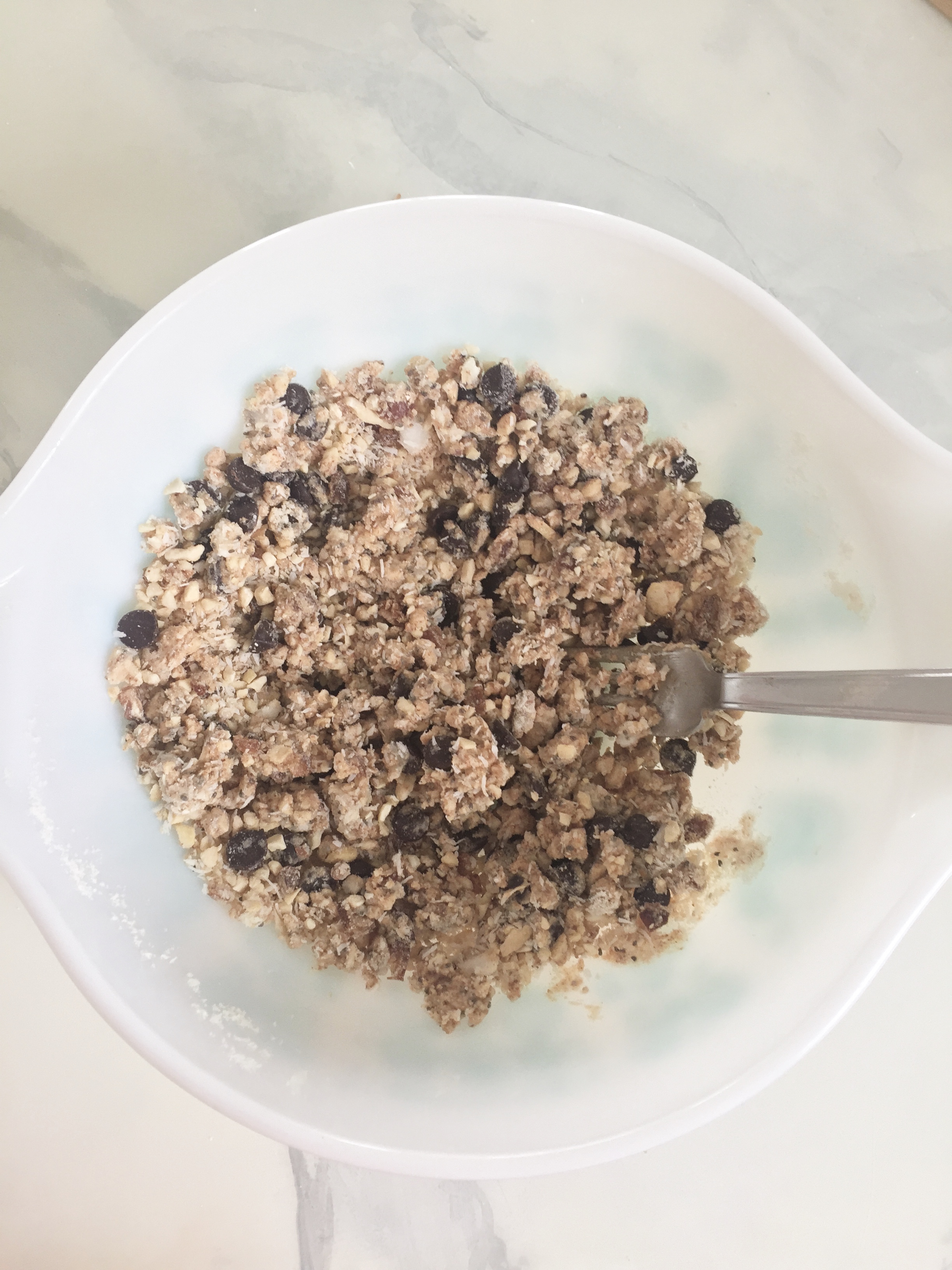 Protein Bites 13