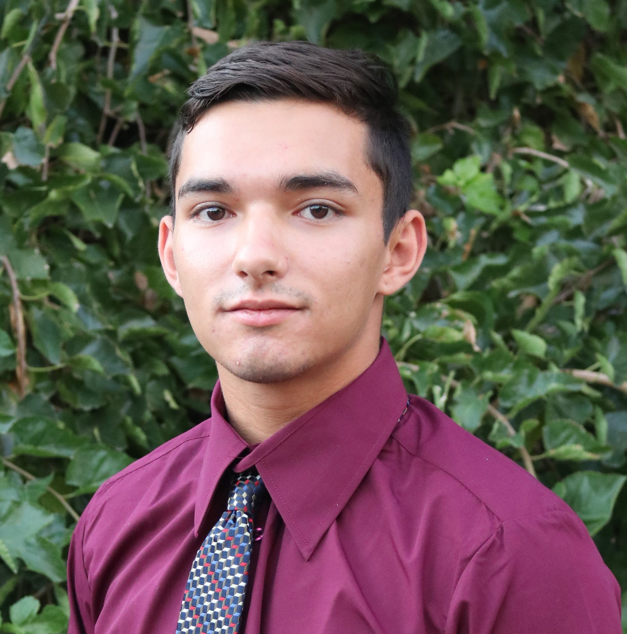 bartee-2019-arizona-state-men-s-gymnastics