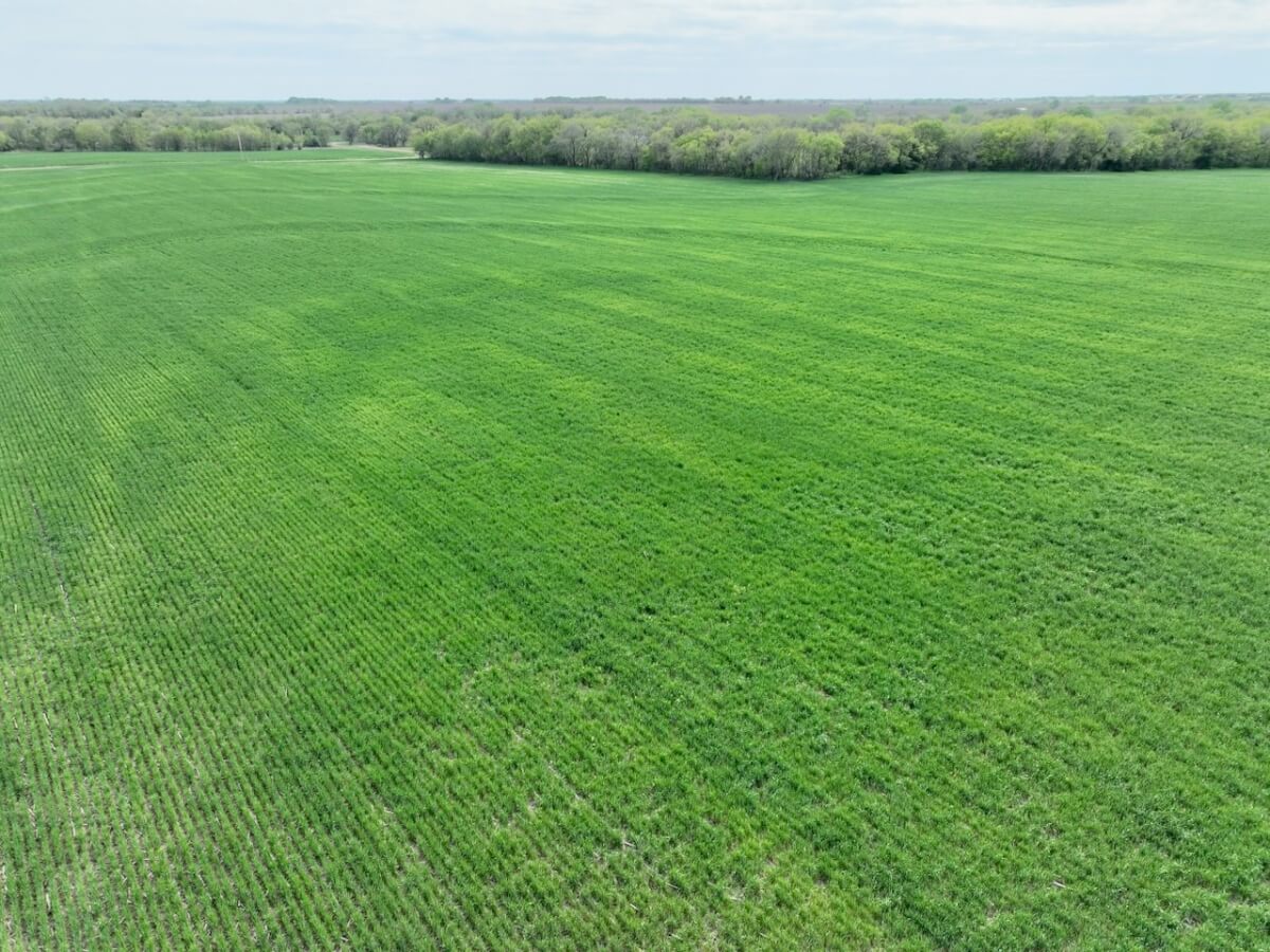 Land for Sale, Whitewater Kansas in Harvey County