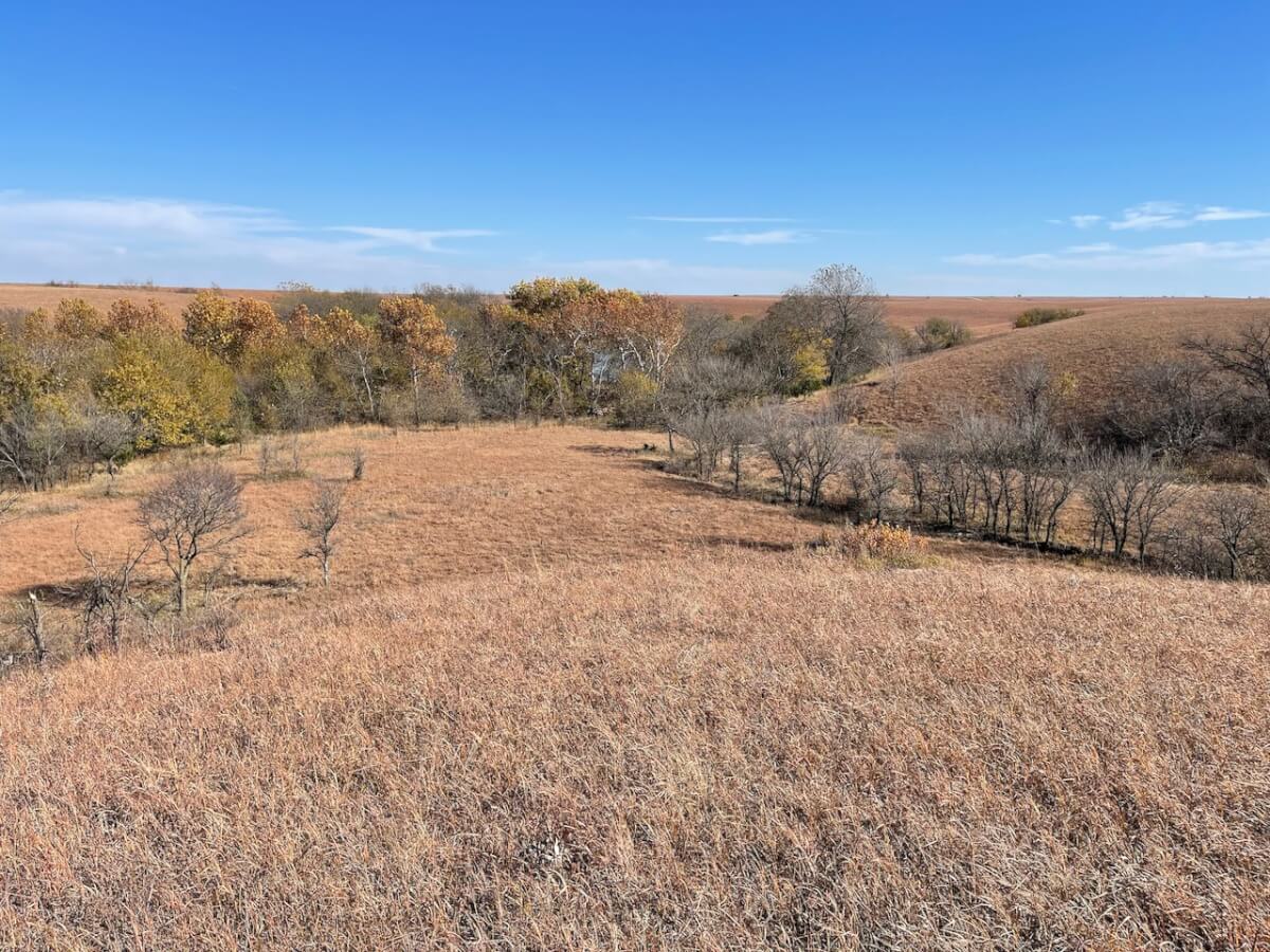 Chase County Kansas Flint Hills Land For Sale - Sundgren Auction & Realty