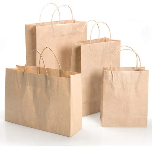 Paper Bags (2)