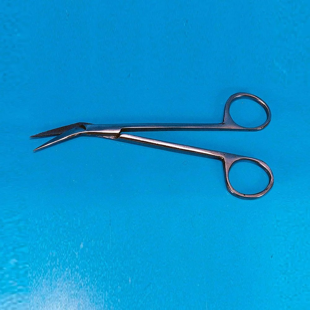 Dissecting Scissors