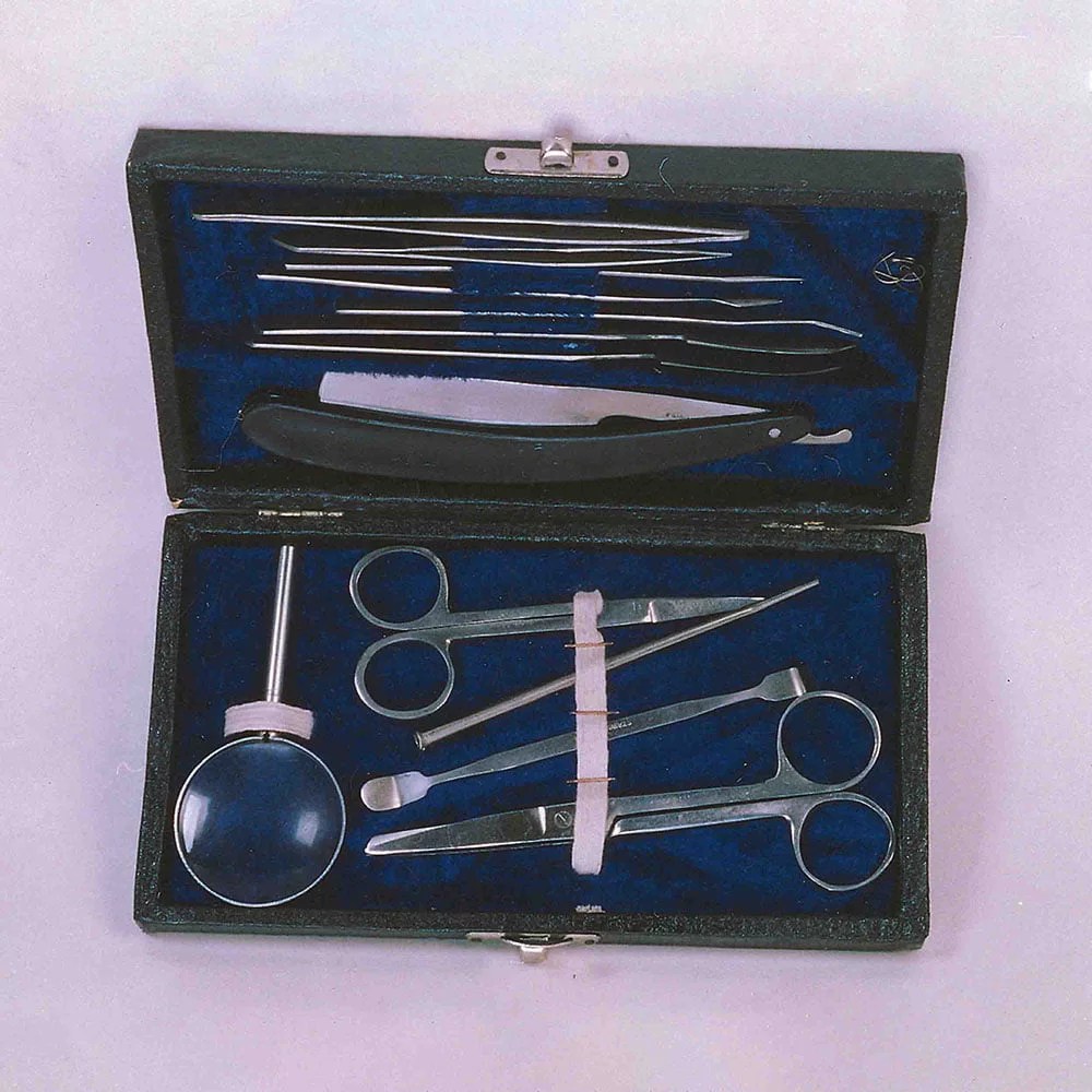 Dissecting Set