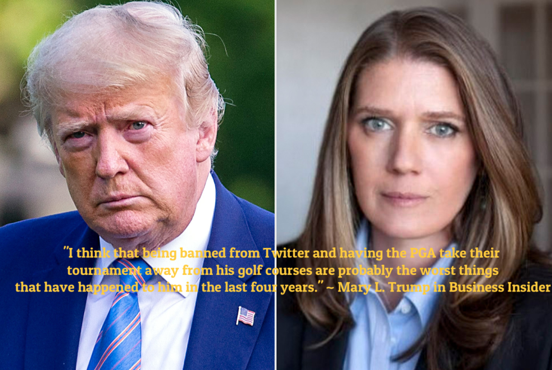 Mary L. Trump is Owning Donald J. Trump