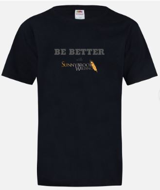 Be BETTER Men's T-Shirt, Black, X-Large