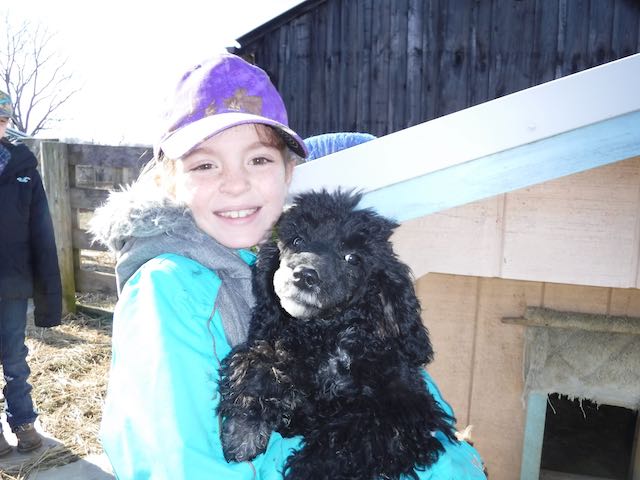 Jingle's Dam "Nickers"