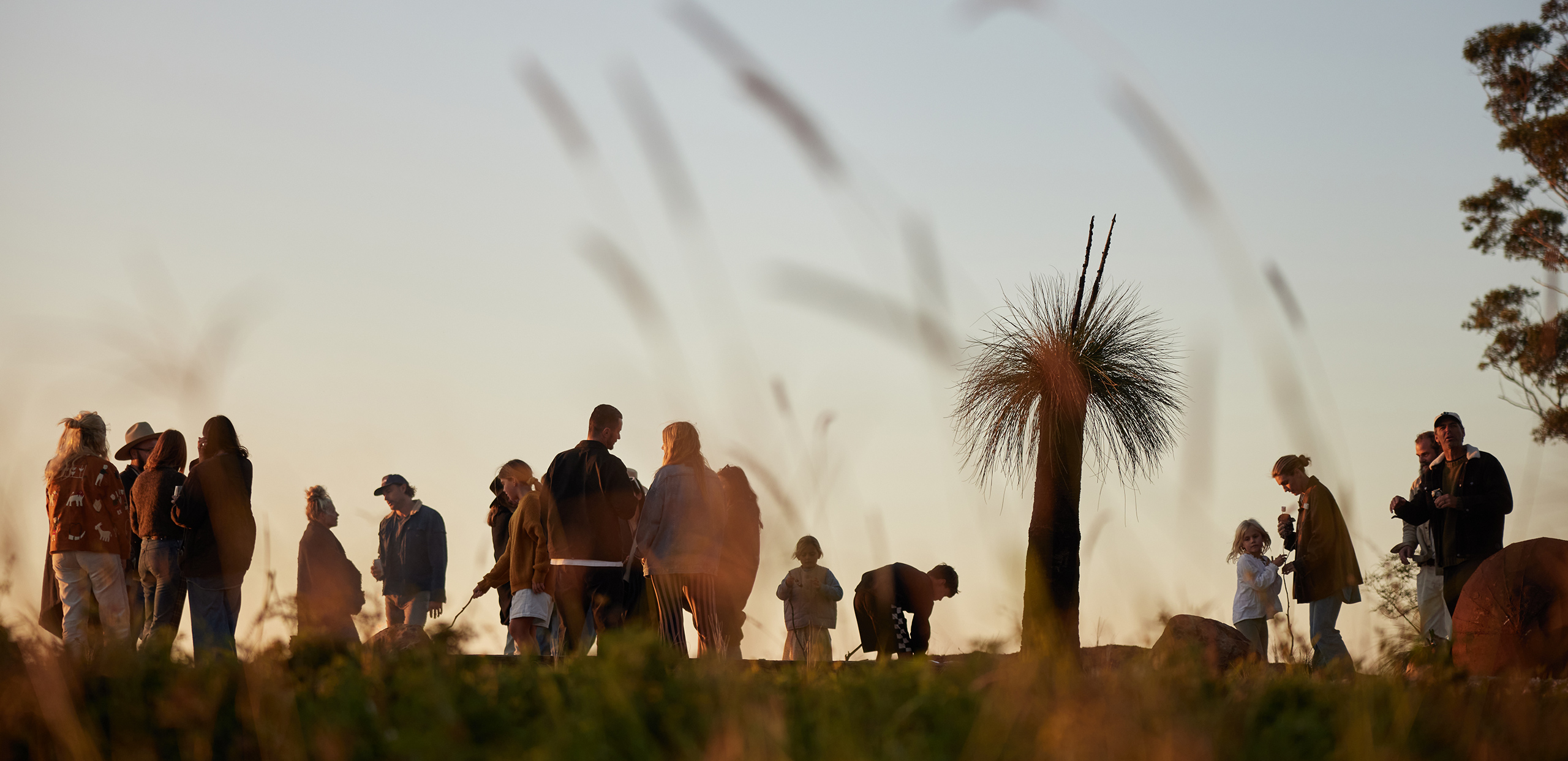 Home Sun Ranch - 4K Nature Pictures for Desktop