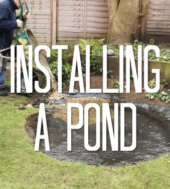 Circulaire super c ⭐ semaine prochaine et flyer ☀️ cette semaine, ☑️ avant tout le monde. Sunset Nursery, Pembroke, Ontario, Greenhouse, Gardening