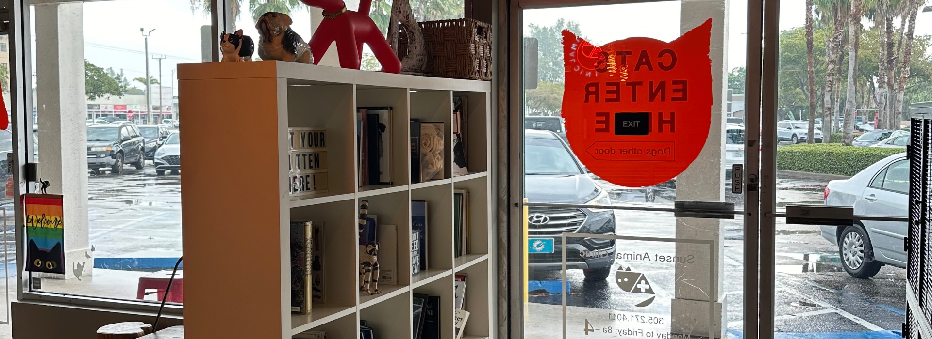 Sunset animal clinic patient gallery