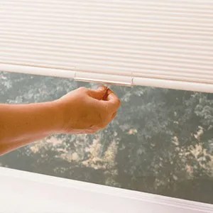 Elite Window Fashions Cellular Shades
