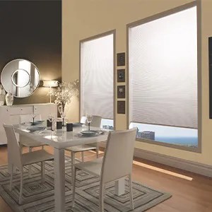 Maxxmar roller shades