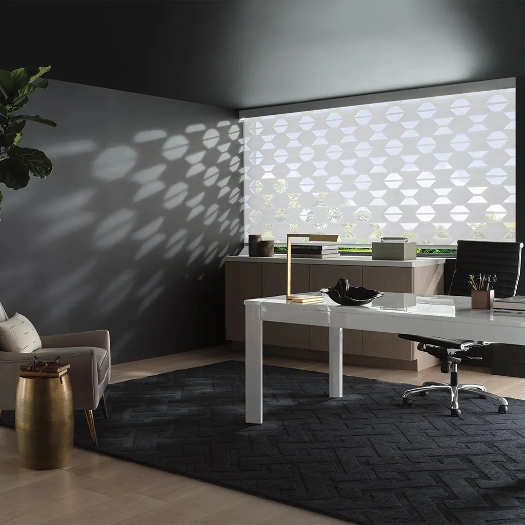Hunter Douglas Designer Banded Shades