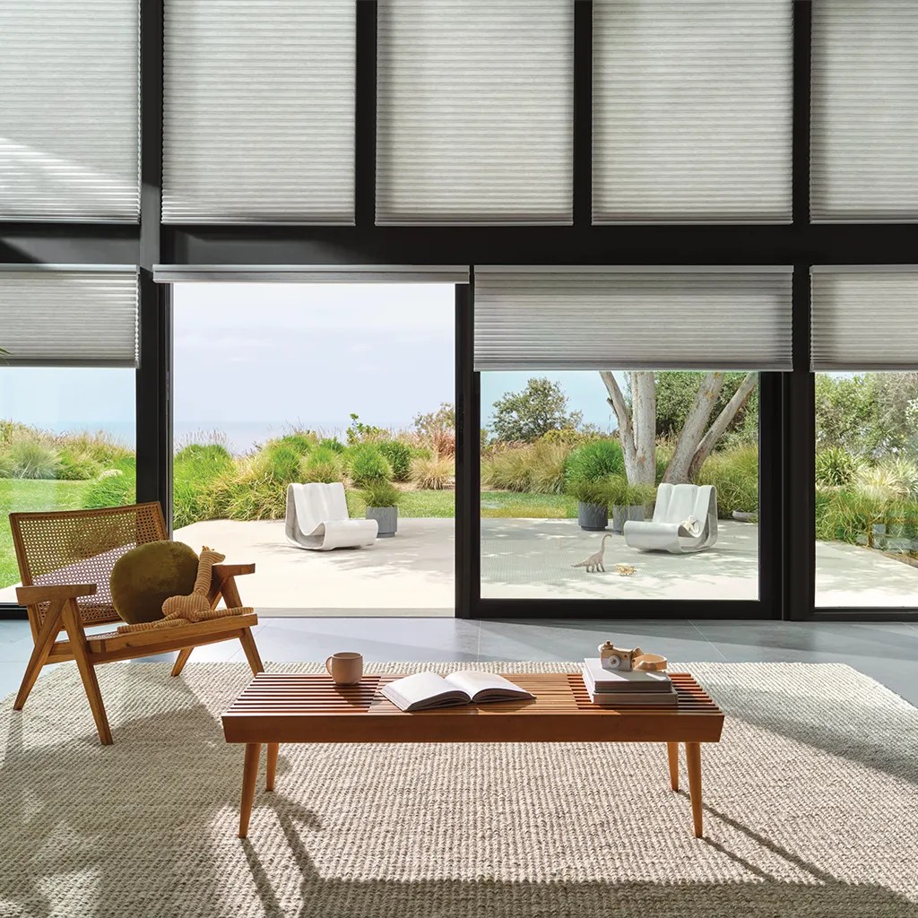 Hunter Douglas Duette Honeycomb Shades