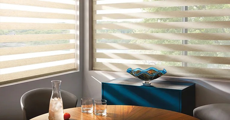 hunter douglas zebra shades