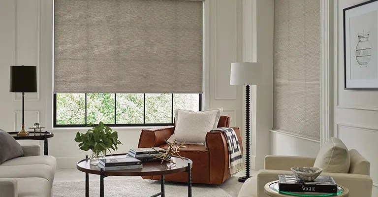 Hunter Douglas Designer Roller Shades