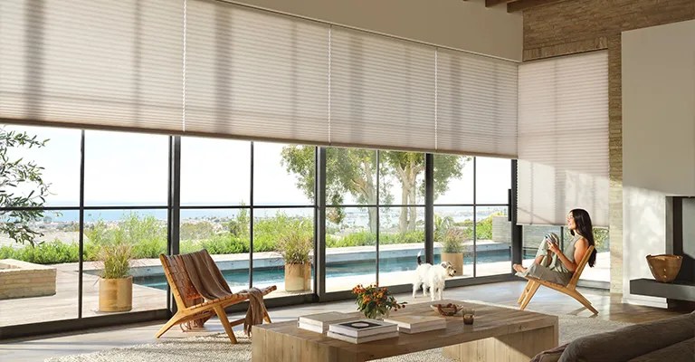 Hunter Douglas Duette Cellular Honeycomb Shades