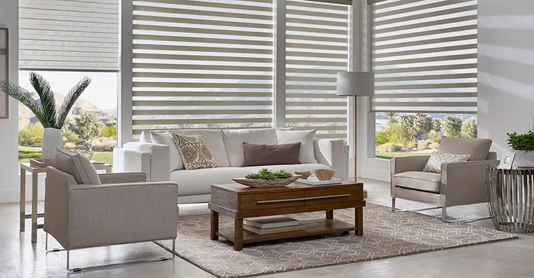 Alta Window Fashions dual shades