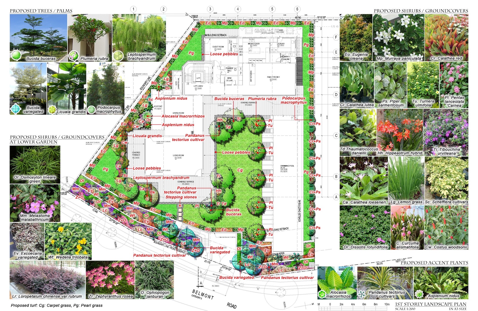 A landscape designer must work be able to collaborate. Sunshine Horticulture Landscape Architecture Singapore