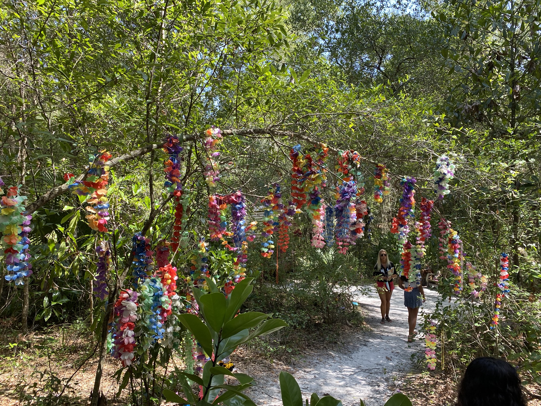 A day in Cassadaga, Florida the "Psychic Capital of the World" (photo